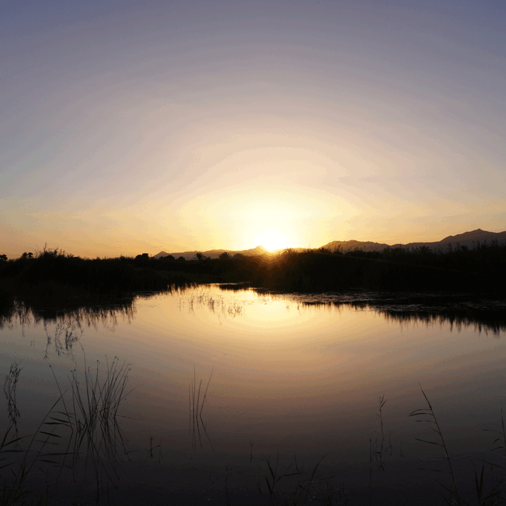 Fotografía hecha con sony alpha zve10, entorno de la vega baja Alicante